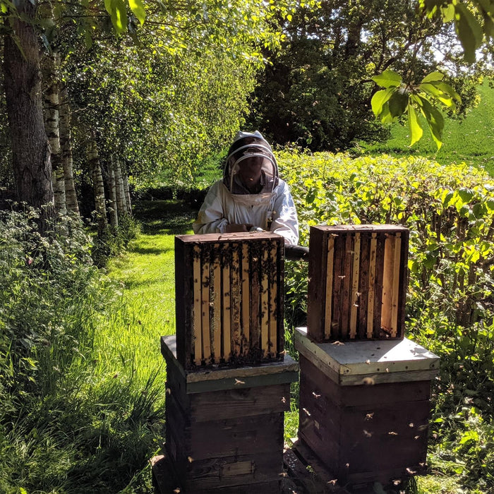 Wye Valley Bee Hives