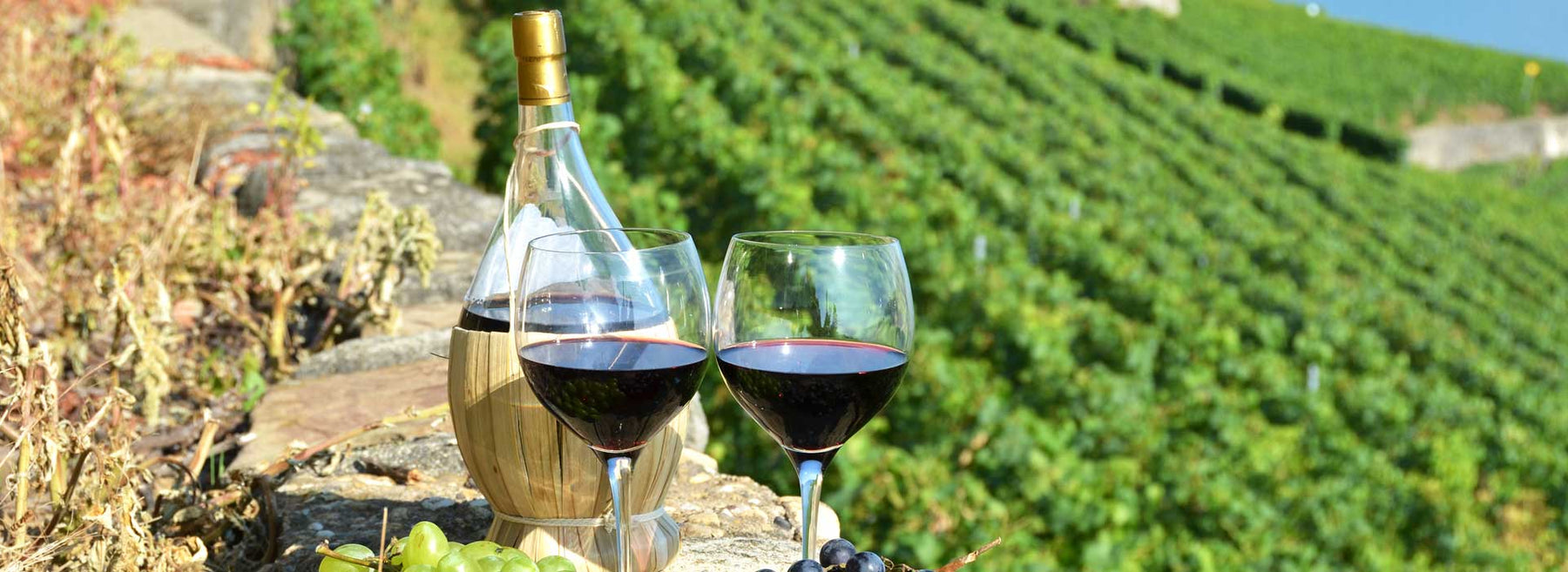 6 Best Ports For A Taste Of The Portuguese Wine