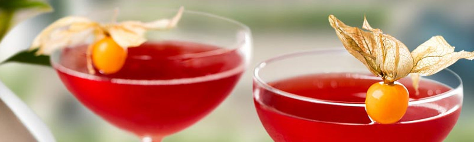 Pink Earl Cocktail Made With Pink Port & Triple Sec — Cotswold Port Co