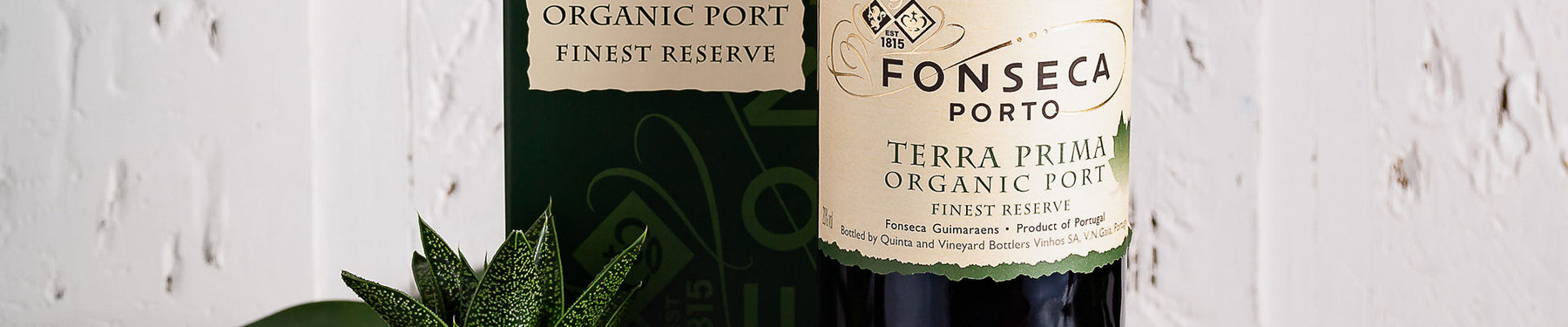 Vibrant & Fruity Fonseca Terra Prima & Cheese