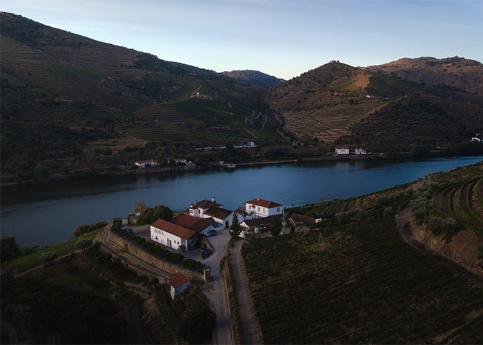 Dows Winery & Vineyards