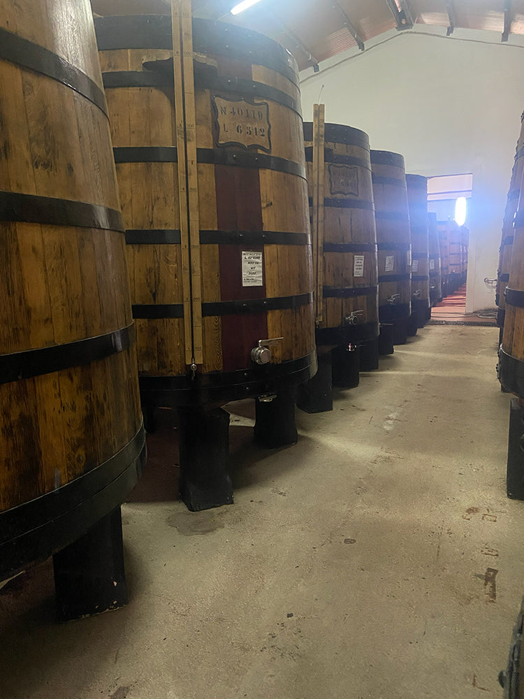 Port ageing quietly in oak vats and casks