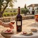 A bottle of Gonzalez Byass Alfonso sherry is set on a rustic outdoor table with two wine glasses, hands holding them, and plates of cured ham, cheese, and nuts, with a vineyard.