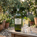 Bottle of Noval port wine on a wooden table with a glass of water and lemon slices, surrounded by plants.