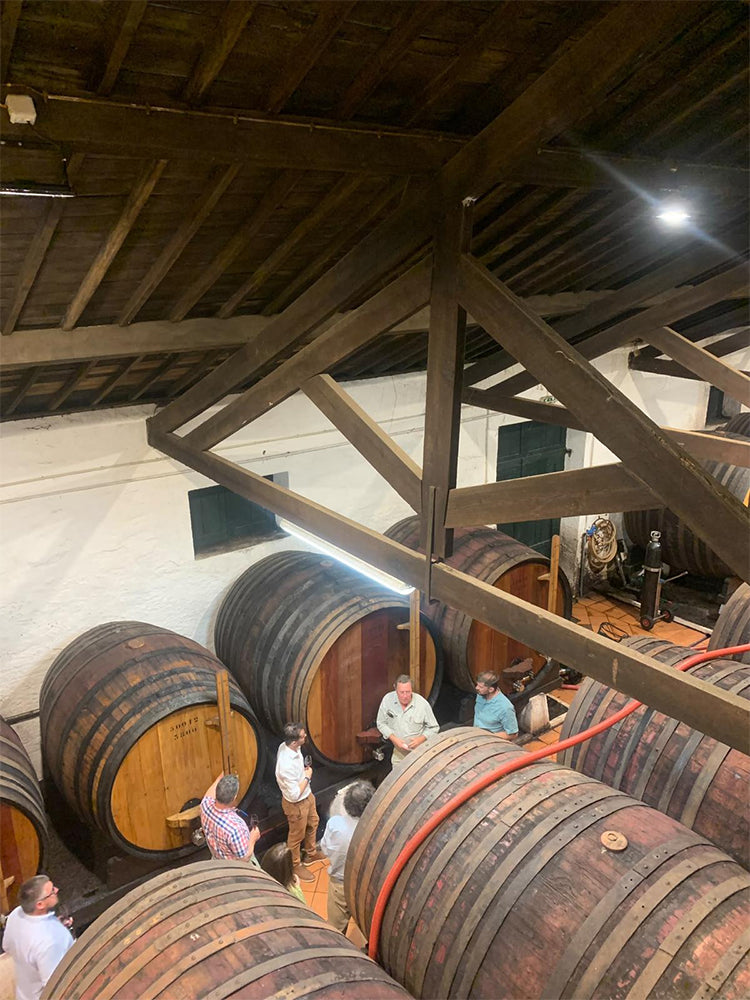 Quinta de Vargellas With David Guimaraens