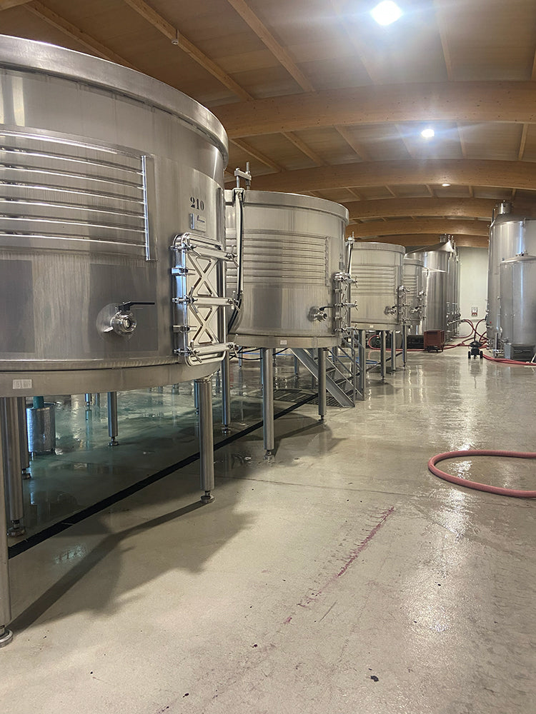 Inside one of the most advanced wineries in the Douro