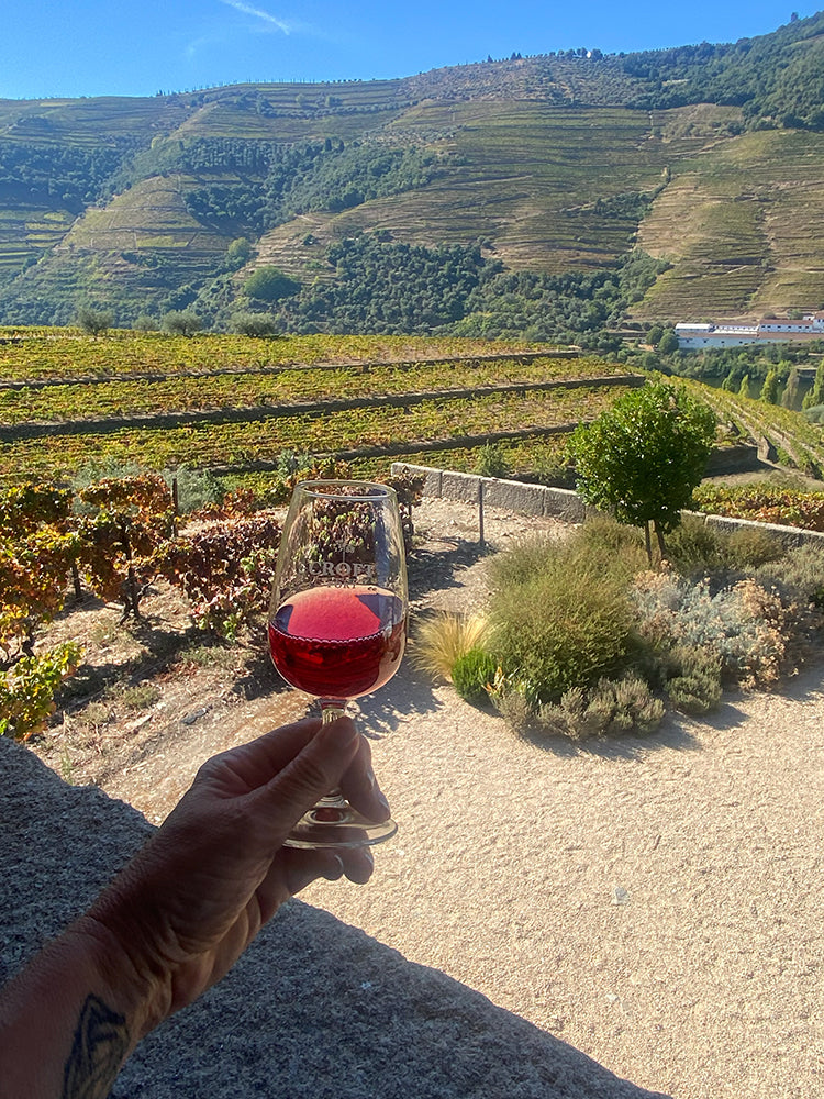 Tasting Croft Pink Port