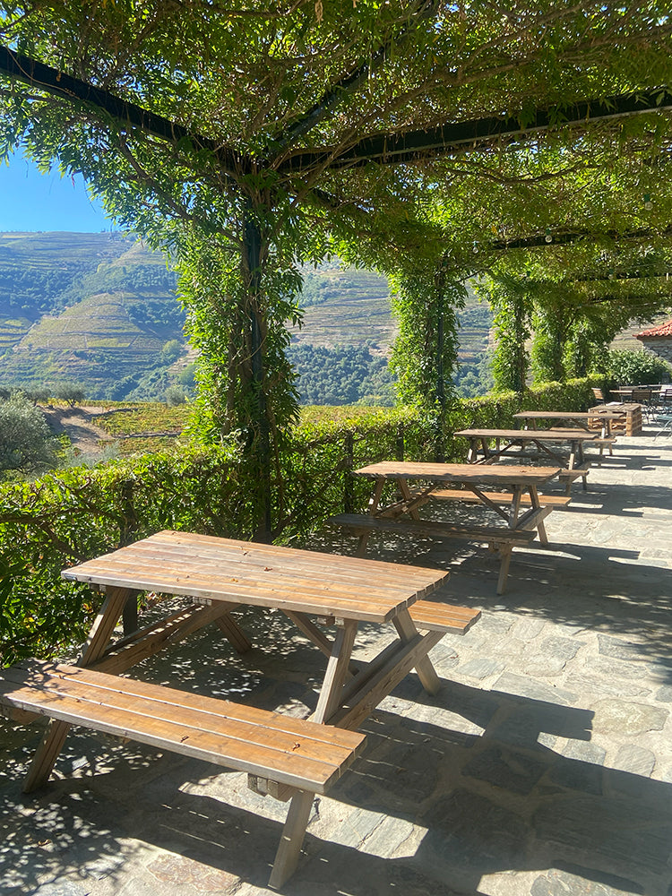 View From Croft Visitor Centre Of Vineyards