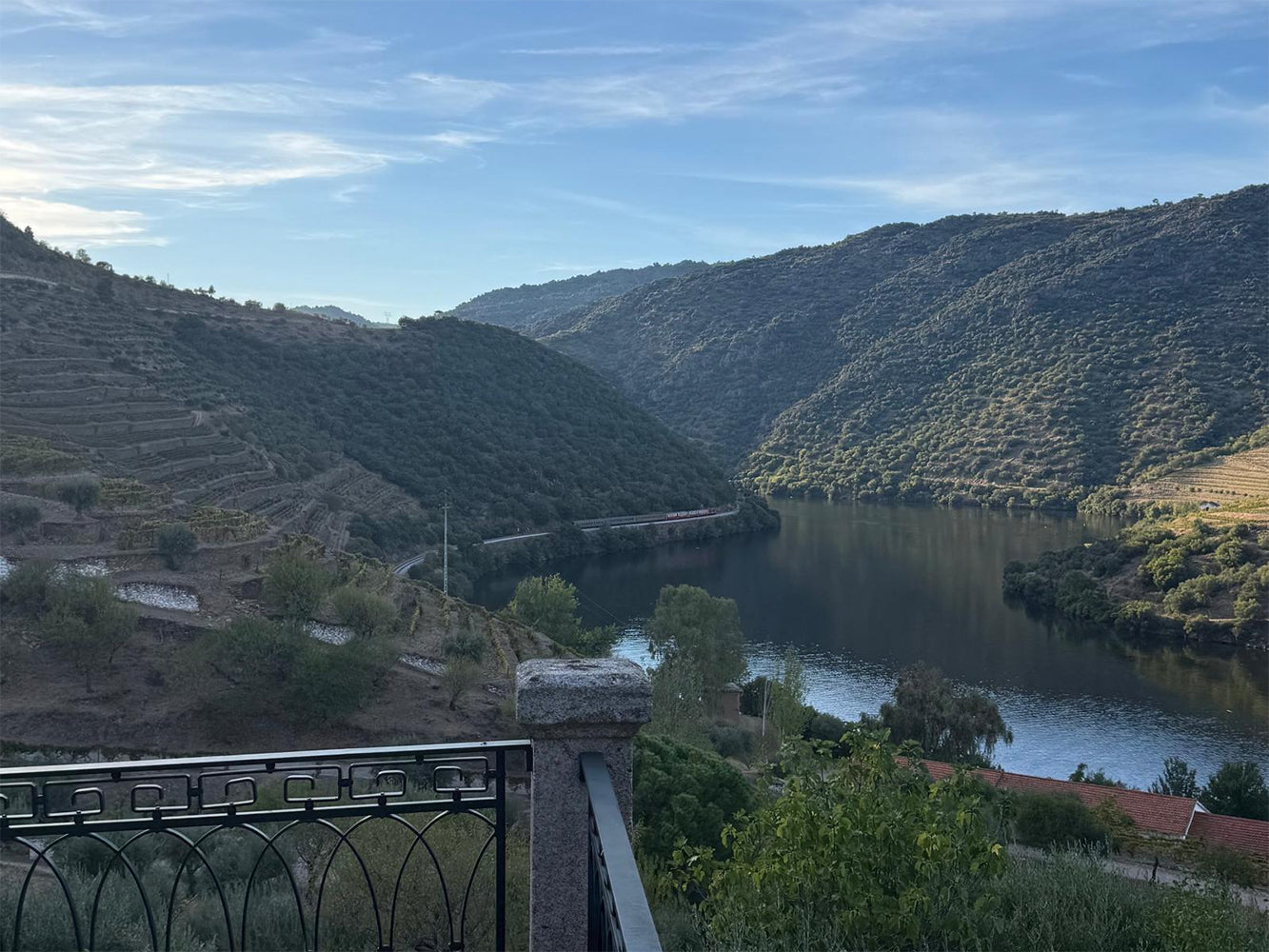 View From Quinta de Vargellas Terrace