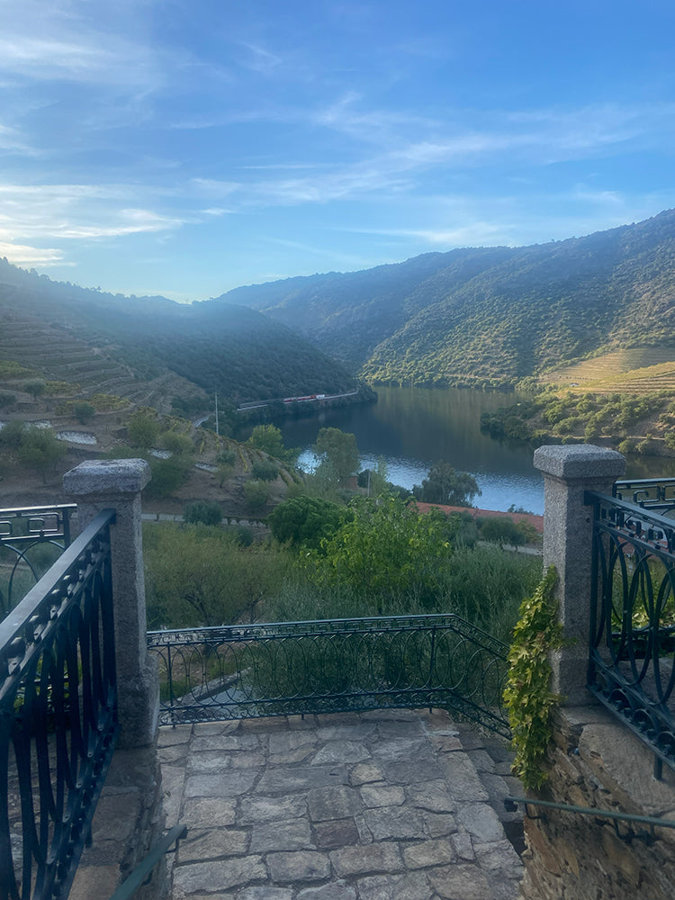 View From Quinta de Vargellas Terrace Over Vineyards & Douro
