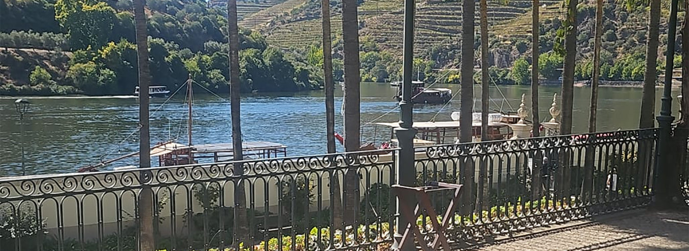 View From Vintage House Over The Douro