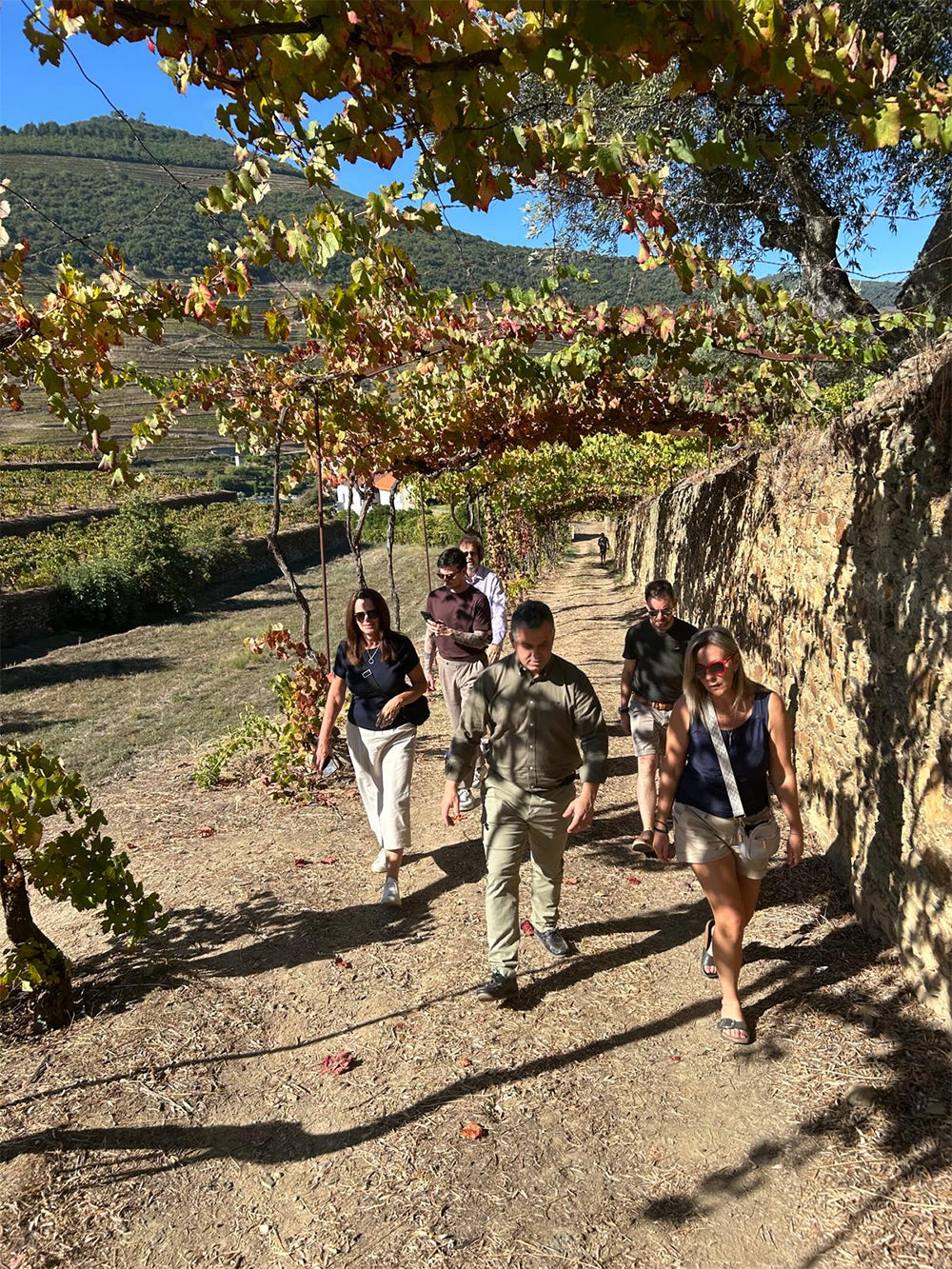 Croft Vineyard Tour