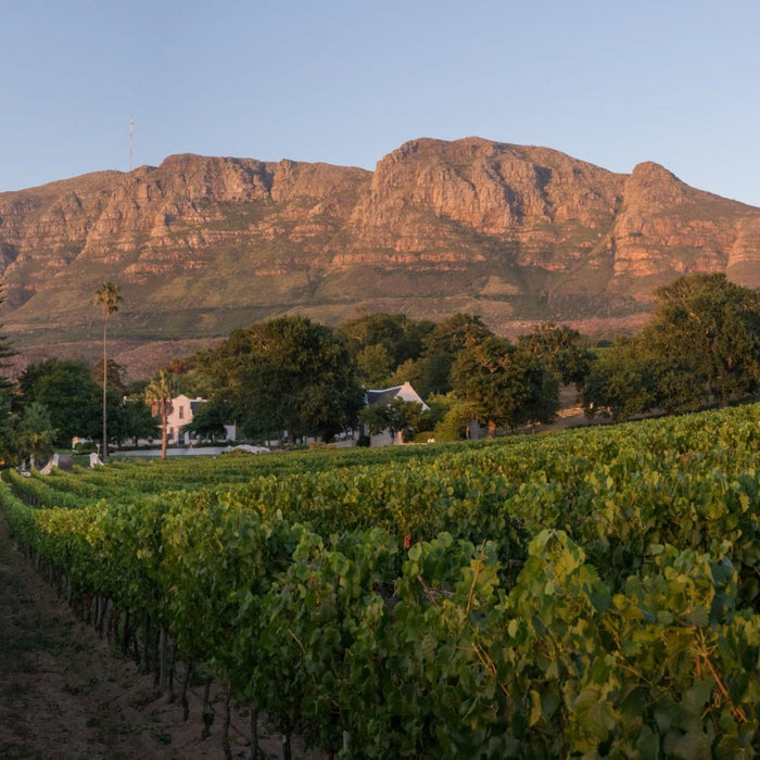 Klein Constantia Vineyards