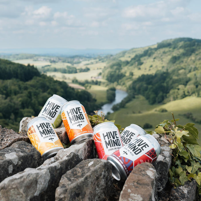 Hive Mind Sparkling Mead Mixed Pack Of Cans 6 x 33cl