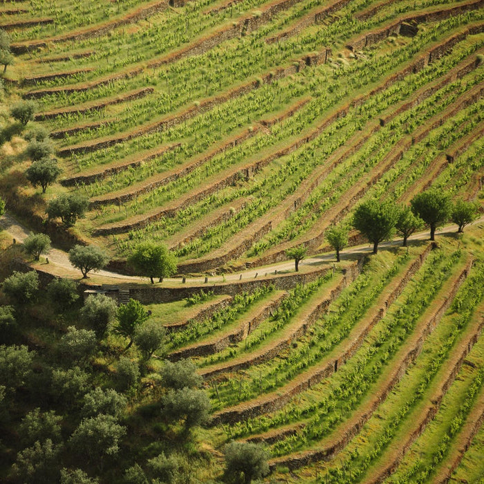 Ramos Pinto Quinta Do Bom Retiro 20 Year Old Tawny Port In Gift Box 75cl