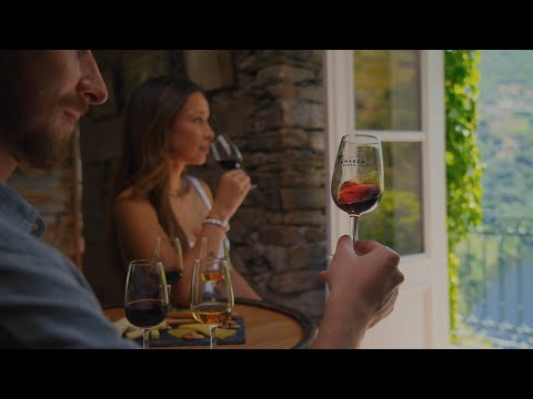 A short video about Quinta do Panascal vineyard

