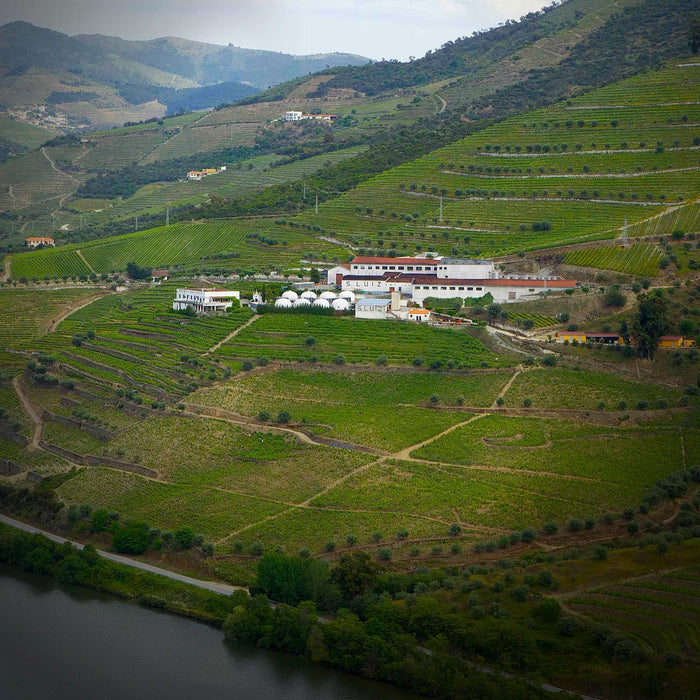 Kopke Port Vineyards In Portugal