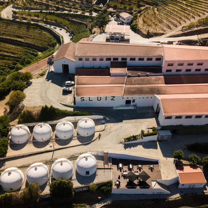 Kopke Vineyard In Portugal