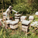 Afon Mel Bee Hives